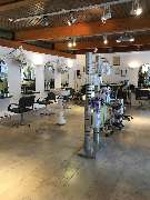 baumann hairstyling  Ihr Damen & Herren Friseur Monika Schülke-Gaworski - GALLERY