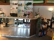 baumann hairstyling Monika Schülke-Gaworski - GALLERY