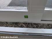 Baumann Sonnenschutz - Insektenschutz-Schiebeanlage Bodenführung