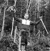 Baumbegeisterung - 3