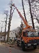 Baumdienst André Funke e.K. - GALLERY