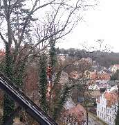 Baumdienst André Funke e.K. - GALLERY