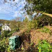 Baumdienst Behan - GALLERY