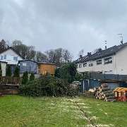 Baumdienst Behan - GALLERY