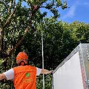 Baumdienst Behan - GALLERY