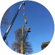 Baumdienst Blümig - Baumpflege & Baumfällung Wuppertal - Baumfällung