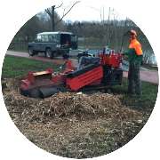 Baumdienst Blümig - Baumpflege & Baumfällung Wuppertal - Wurzelfräsen