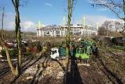 Baumdienst Breuker GbR - GALLERY