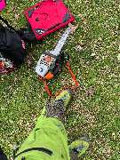 Baumdienst Herrmann - GALLERY