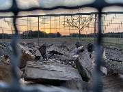 Baumdienst Herrmann - GALLERY