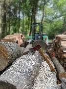 Baumdienst Herrmann - GALLERY