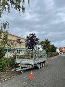 Baumdienst Herrmann - GALLERY