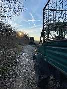 Baumdienst Herrmann - GALLERY