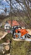 Baumdienst Herrmann - GALLERY
