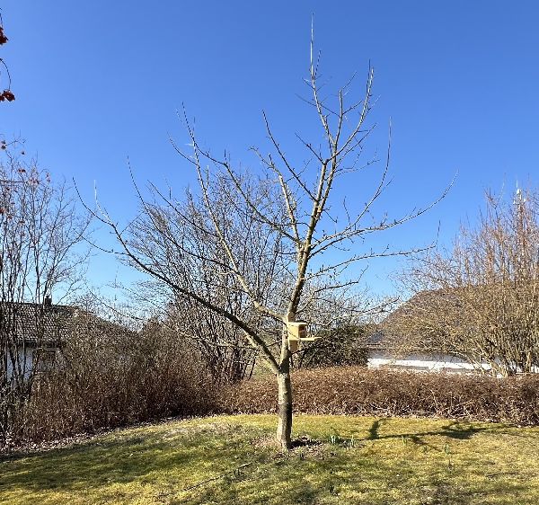 Baumdienst Philipp Krämer - GALLERY