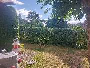 Baumdienst Renner - GALLERY