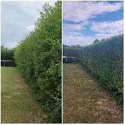 Baumdienst Renner - GALLERY