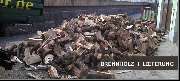Baumdienst Schaller - GALLERY