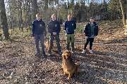 Baumdienst Siebengebirge Baumfällung  Bonn / Köln - Baumdienst Siebengebirge