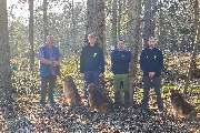 Baumdienst Siebengebirge Baumfällung  Bonn / Köln - Baumdienst Siebengebirge
