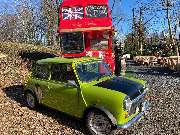 Baumdienst Siebengebirge Baumfällung  Bonn / Köln - Baumdienst Siebengebirge