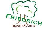 Baumfällung Friedrich - Baumfällung Friedrich