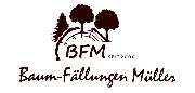 Baumfällungen Müller - GALLERY