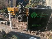 Baumflüsterer Hoffmann - GALLERY