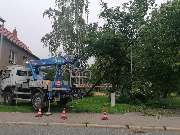 Baumflüsterer Hoffmann - GALLERY