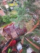 Baummüller Baum u. Gartenspezialist - 4