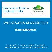 Baummüller Baum u. Gartenspezialist - Baumpfleger/in