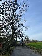 Baumpflege Arnold - GALLERY