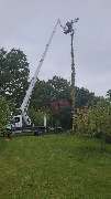 Baumpflege - IMG-20241008-WA0024.jpg