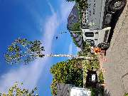 Baumpflege Baumring - GALLERY