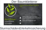 Baumpflege Dreyer Althoff - 1