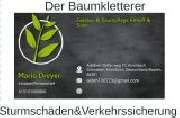 Baumpflege Dreyer Althoff - 1