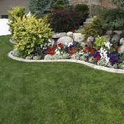 Baumpflege Dreyer Althoff - 3