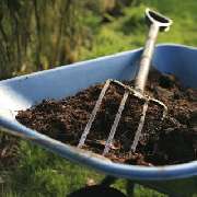 Baumpflege Dreyer Althoff - 4