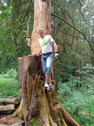 Baumpflege Dreyer Althoff - 5