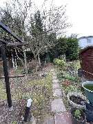 Baumpflege Egzon - IMG_0164.jpeg