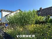 Baumpflege Egzon - IMG_2418.jpeg