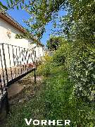 Baumpflege Egzon - IMG_2426.jpeg