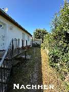 Baumpflege Egzon - IMG_2440.jpeg