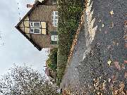 Baumpflege Egzon - IMG_3172.jpeg