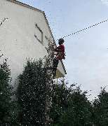 Baumpflege Eifler - 3
