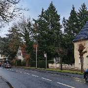 Baumpflege Eifler - Baufeldrodung vorher