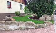 Baumpflege Görlich - GALLERY