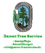Baumpflege James - 1