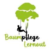 Baumpflege Lernout - 1