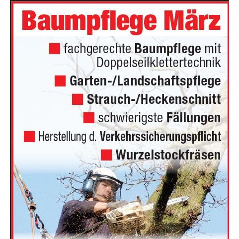 Baumpflege März - LOGO